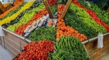 الطماطم تقود تراجع أسعار الخضراوات في مطروح وتسجل 8 جنيهات للكيلو 1